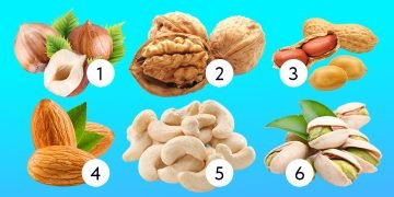 тест с орехами