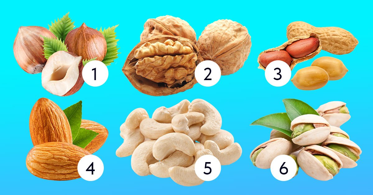 тест с орехами