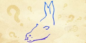 тест с животными