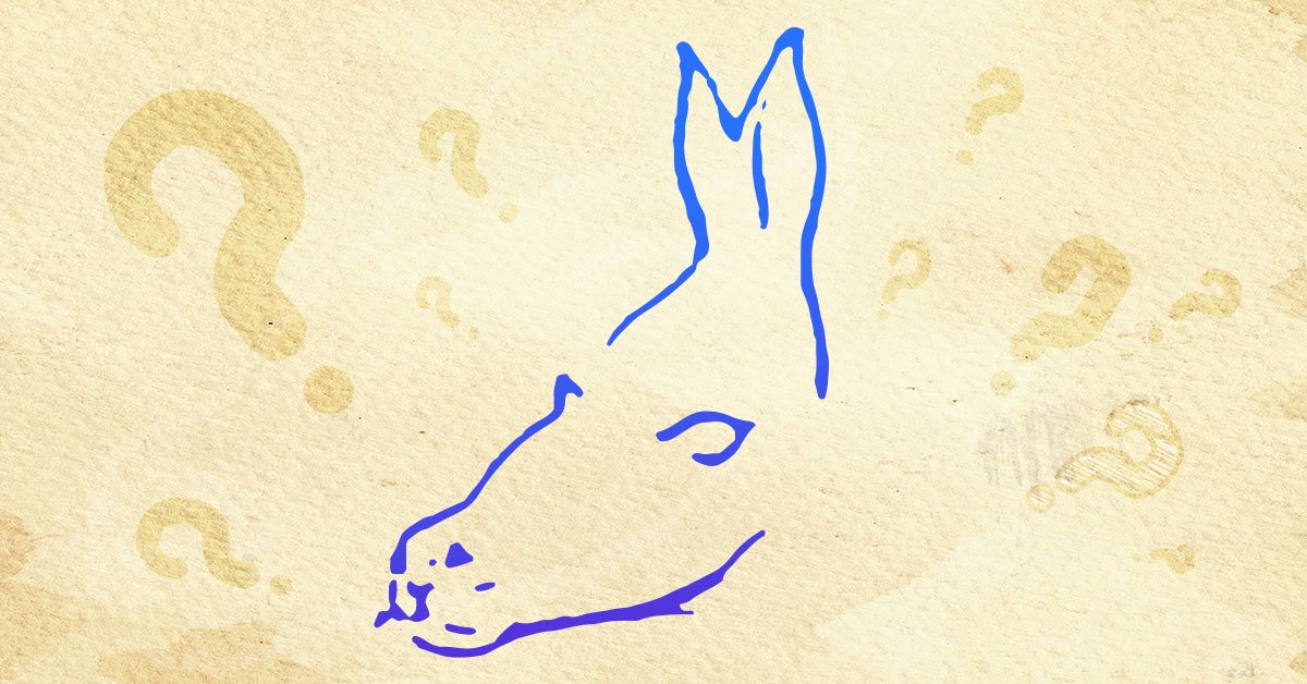 тест с животными