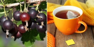 Толкование слов