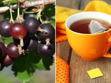 Толкование слов