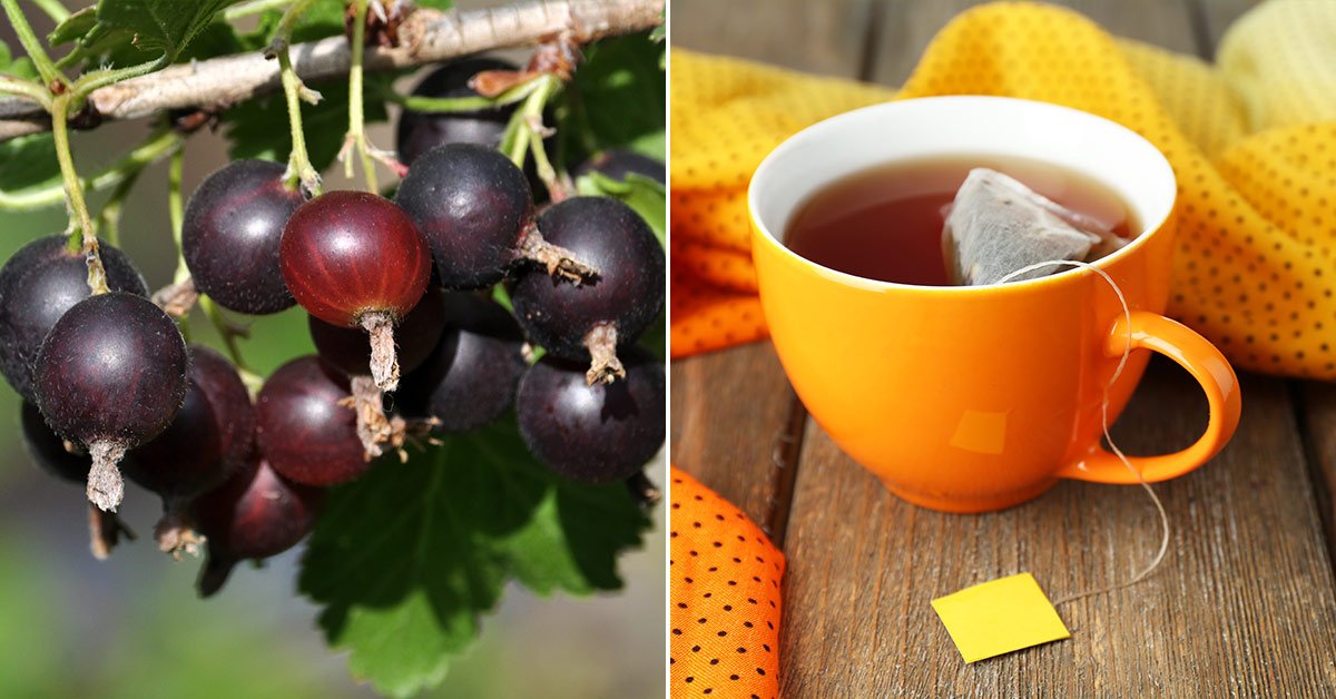 Толкование слов