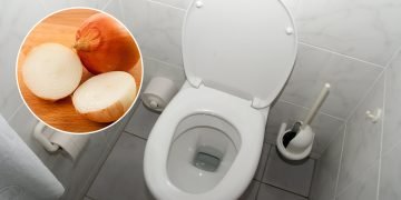 Уборка санузла