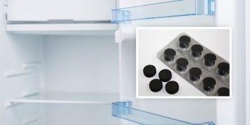 уголь в холодильнике