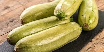 урожай кабачков