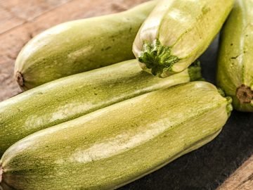 урожай кабачков