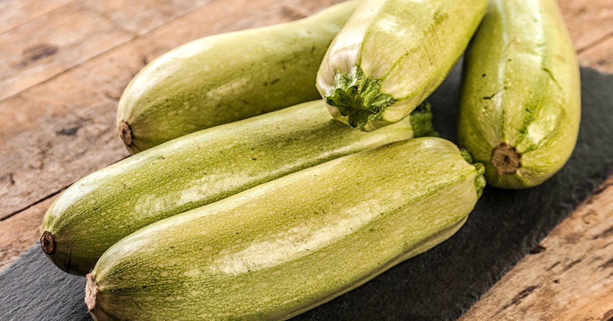 урожай кабачков