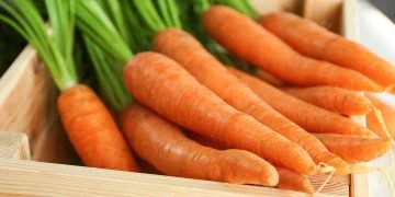 урожай моркови