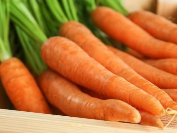 урожай моркови