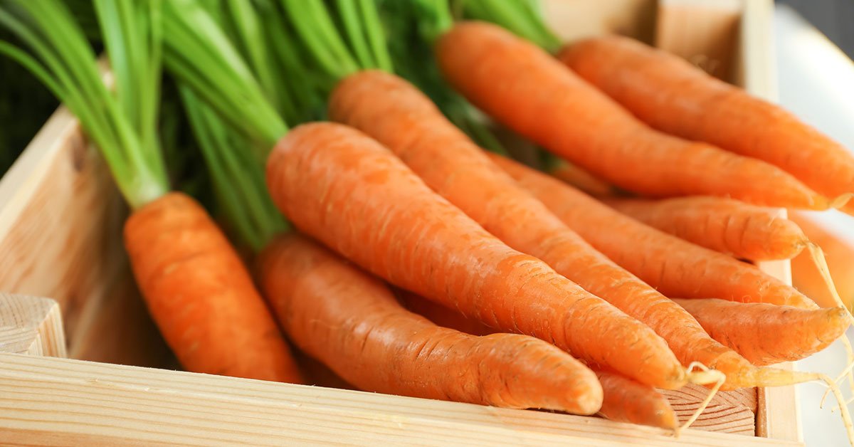 урожай моркови