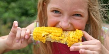 вареная кукуруза