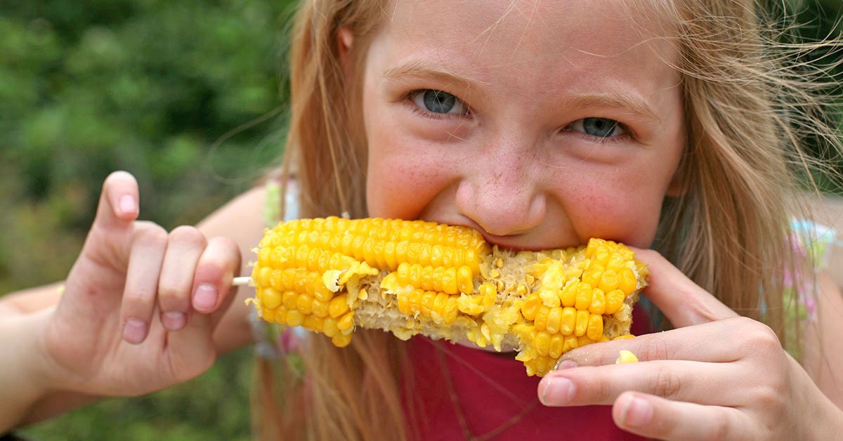 вареная кукуруза