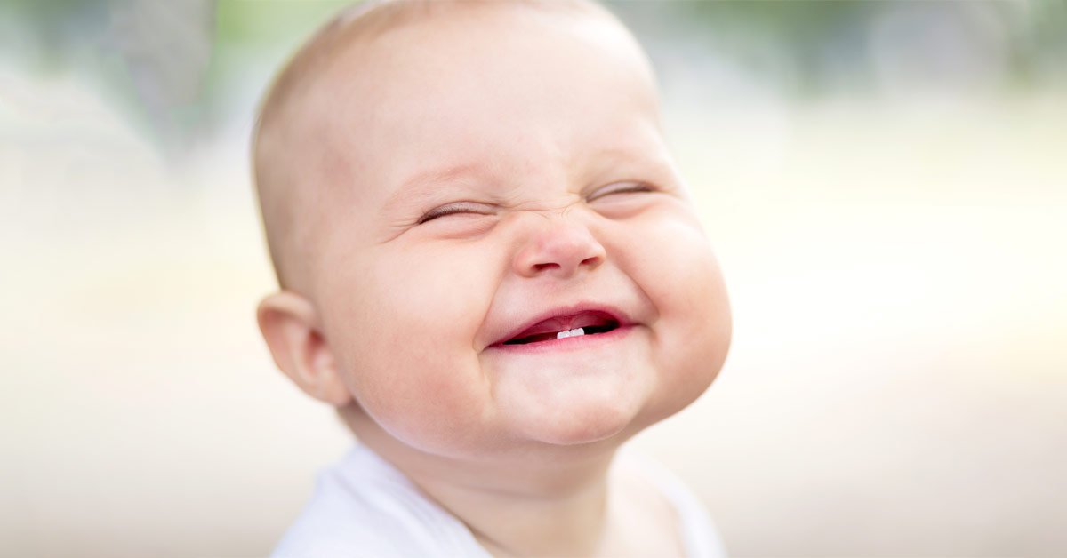 Веселые знаки зодиака