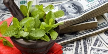 Веточка мяты