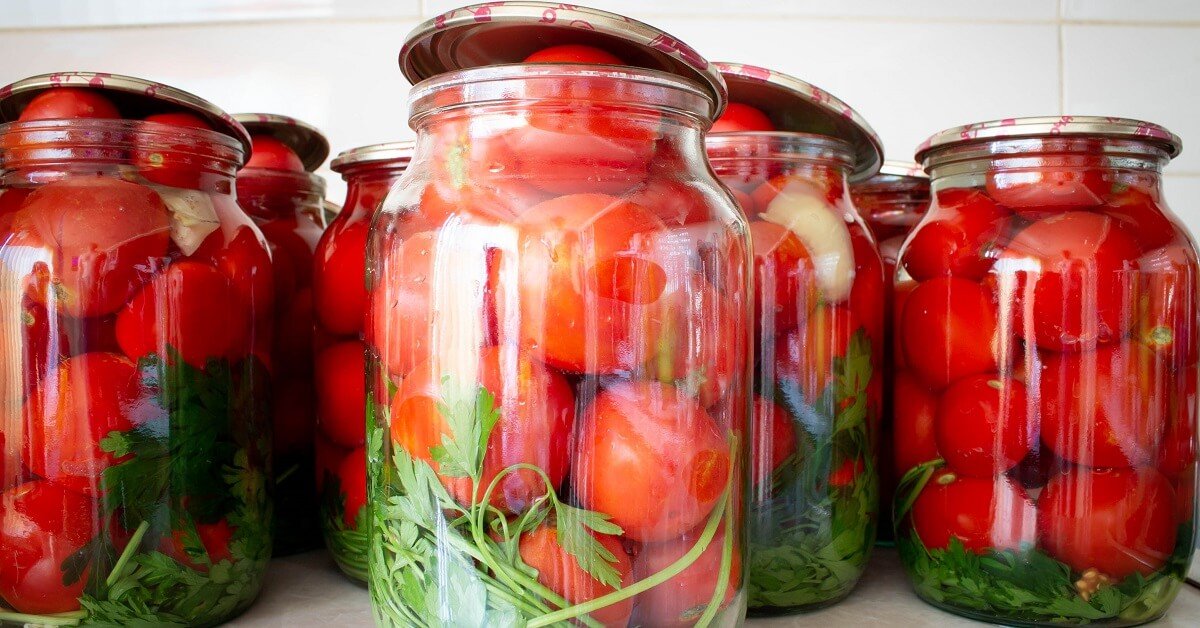 вкусные помидоры