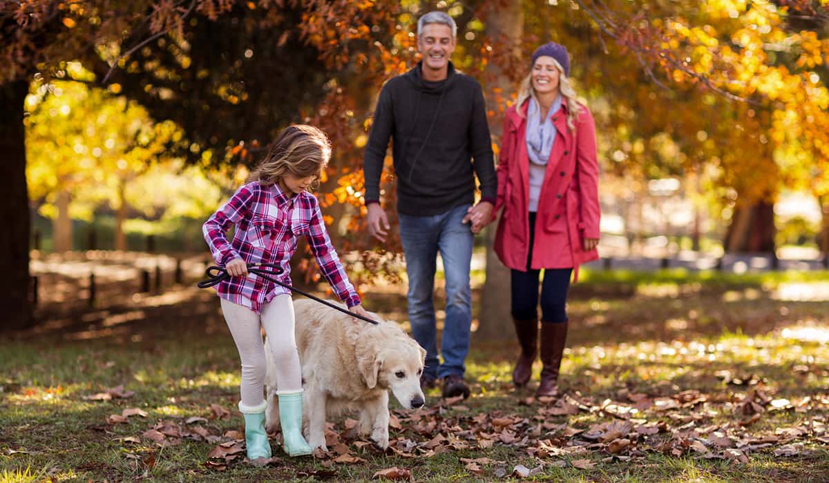 хорошее воспитание детей