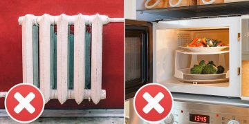 вредные вещи