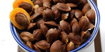 Ядра абрикосовых косточек