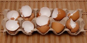 Яичная скорлупа для огорода