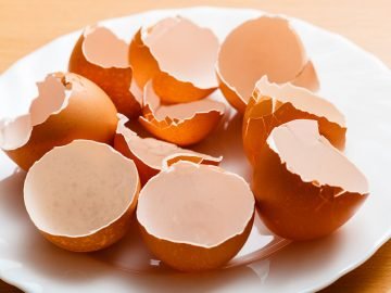 яичная скорлупа для растений