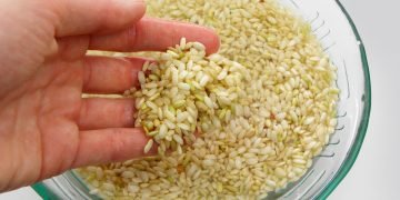 зачем класть крупу в морозильник