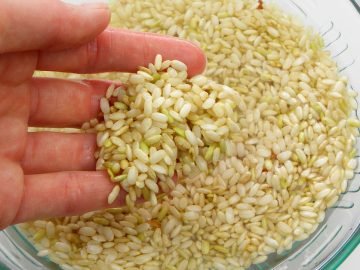 зачем класть крупу в морозильник