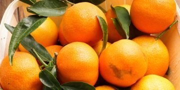 зачем замораживать мандарины