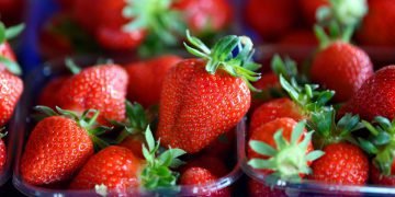 Заготовки из клубники