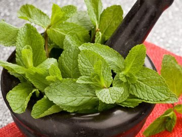 Запахи для дома