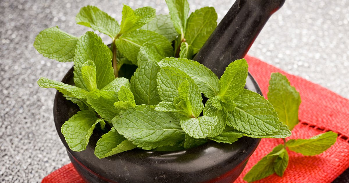 Запахи для дома