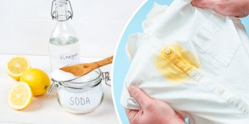 жирные пятна