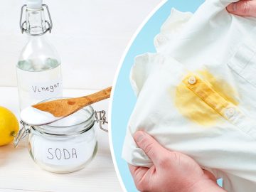 жирные пятна