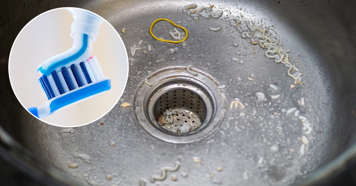 зубная паста на кухне